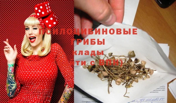 ECSTASY Абинск